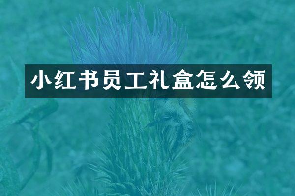 小红书员工礼盒怎么领