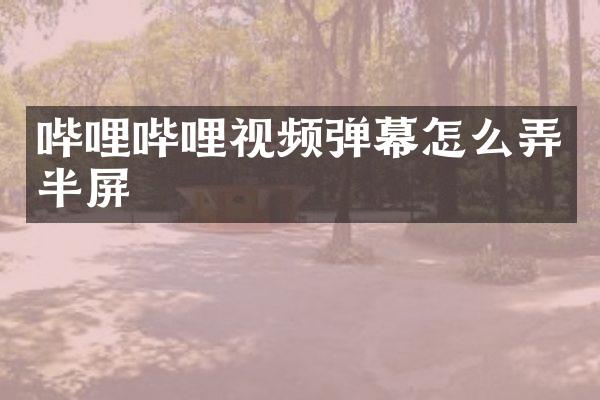 哔哩哔哩视频弹幕怎么弄半屏