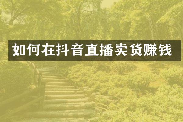 如何在抖音直播卖货赚钱