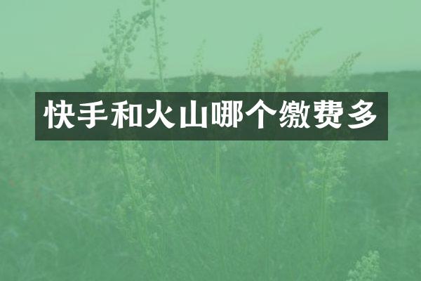 快手和火山哪个缴费多