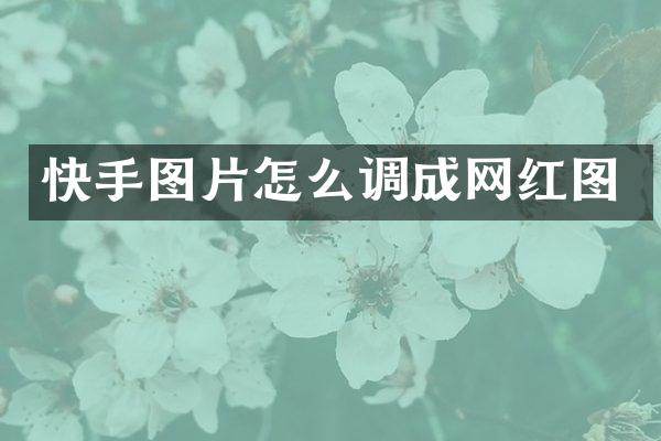 快手图片怎么调成网红图