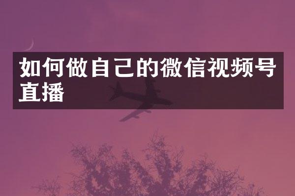 如何做自己的微信视频号直播