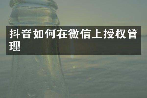 抖音如何在微信上授权管理
