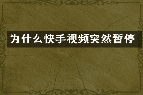 为什么快手视频突然暂停