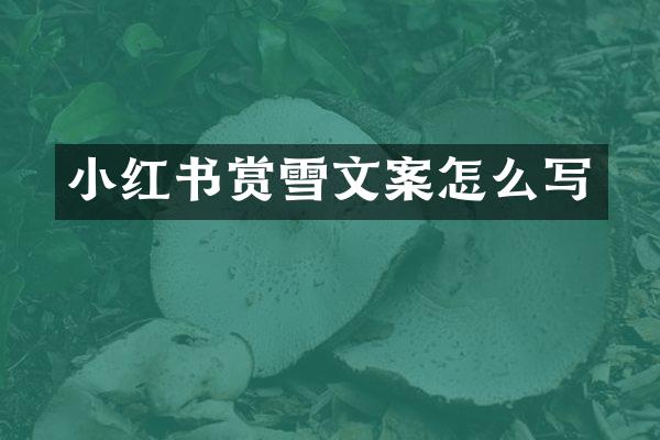 小红书赏雪文案怎么写