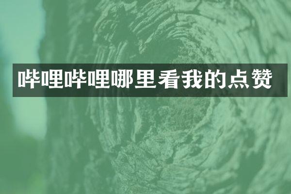 哔哩哔哩哪里看我的点赞
