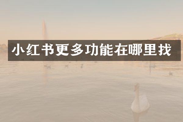 小红书更多功能在哪里找