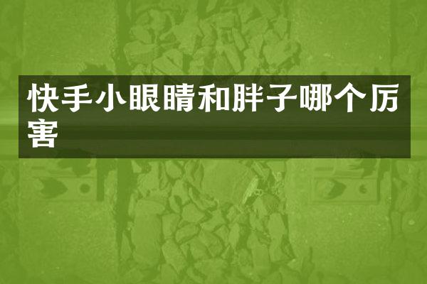 快手小眼睛和胖子哪个厉害