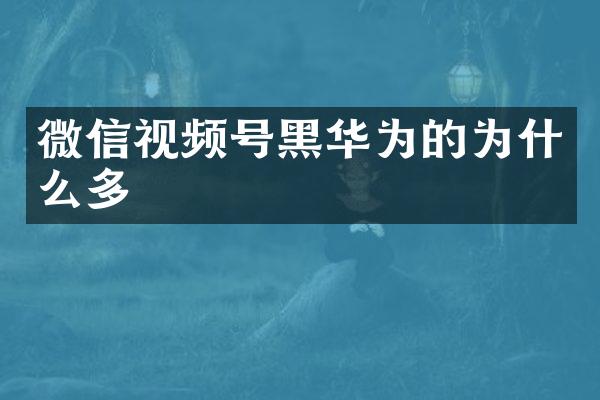 微信视频号黑华为的为什么多