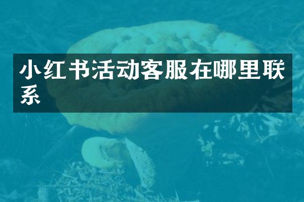 小红书活动客服在哪里联系