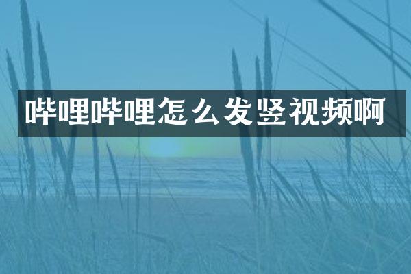 哔哩哔哩怎么发竖视频啊