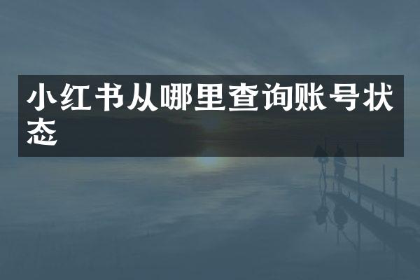 小红书从哪里查询账号状态