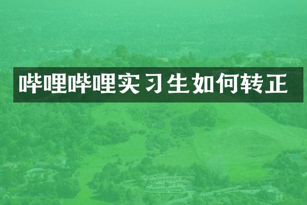 哔哩哔哩实习生如何转正