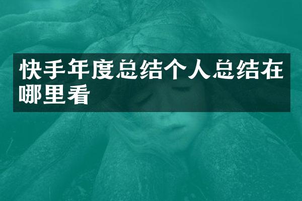 快手年度总结个人总结在哪里看