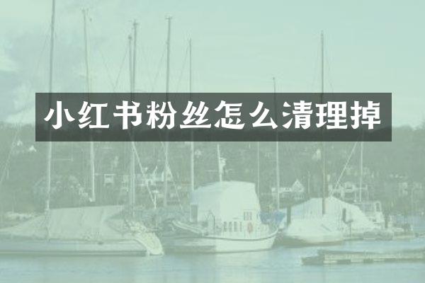 小红书粉丝怎么清理掉