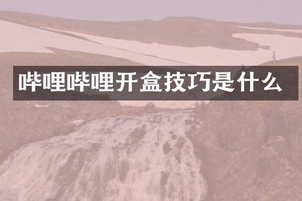 哔哩哔哩开盒技巧是什么
