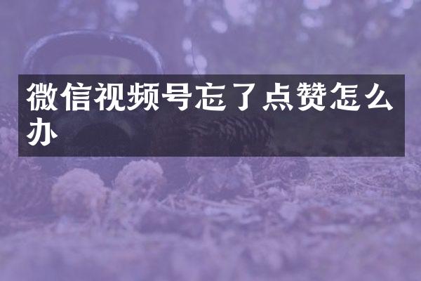 微信视频号忘了点赞怎么办