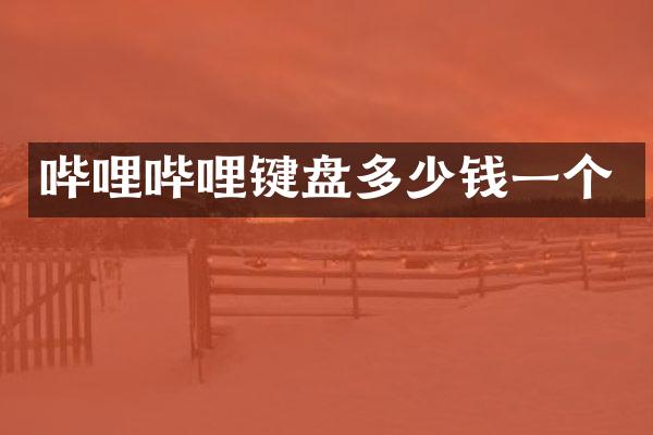 哔哩哔哩键盘多少钱一个