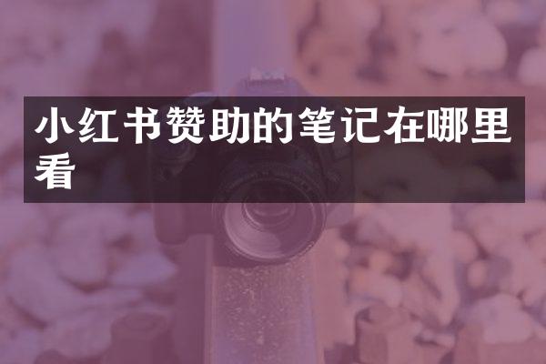 小红书赞助的笔记在哪里看