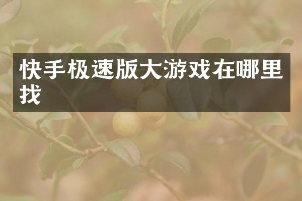 快手极速版大游戏在哪里找