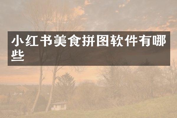 小红书美食拼图软件有哪些