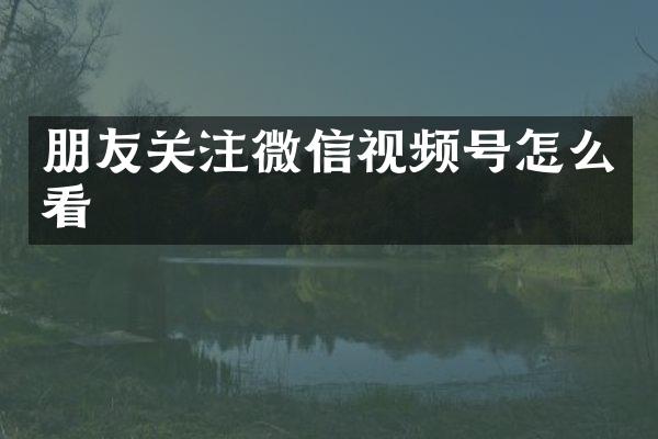 朋友关注微信视频号怎么看