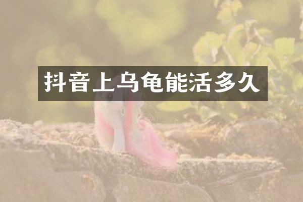 抖音上乌龟能活多久