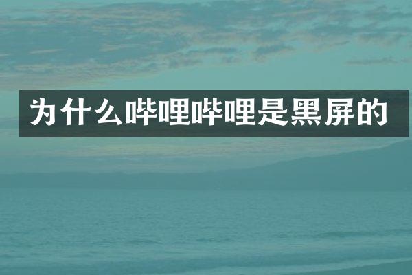 为什么哔哩哔哩是黑屏的