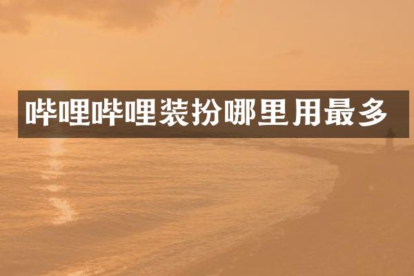 哔哩哔哩装扮哪里用最多