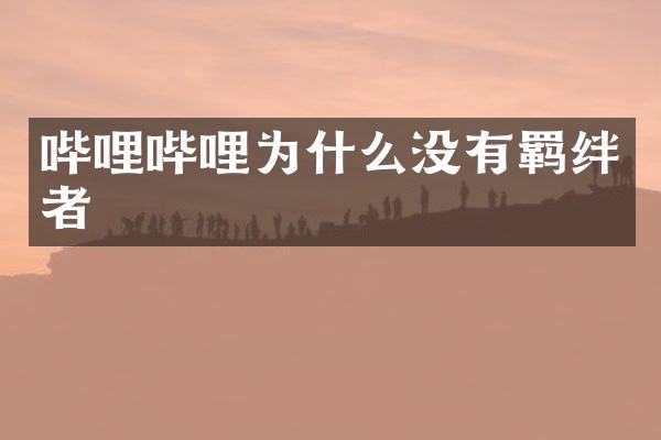 哔哩哔哩为什么没有羁绊者
