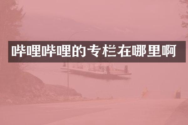 哔哩哔哩的专栏在哪里啊