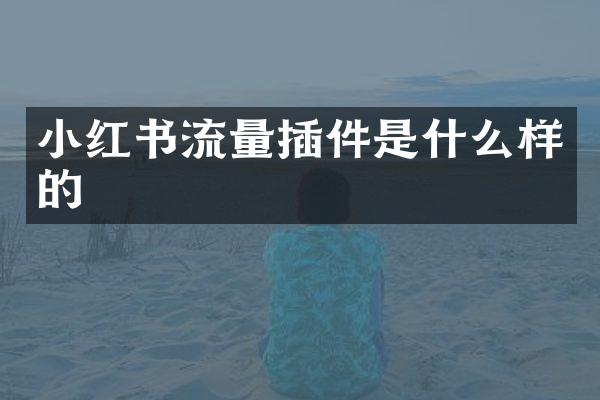 小红书流量插件是什么样的