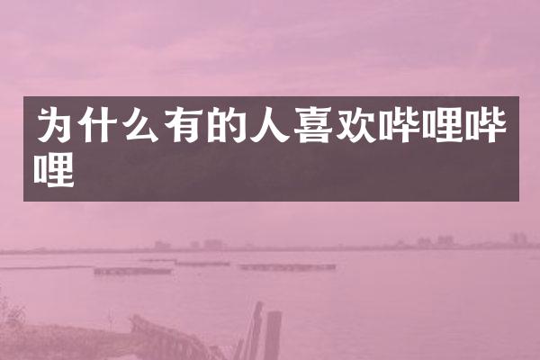 为什么有的人喜欢哔哩哔哩