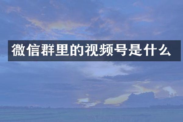 微信群里的视频号是什么