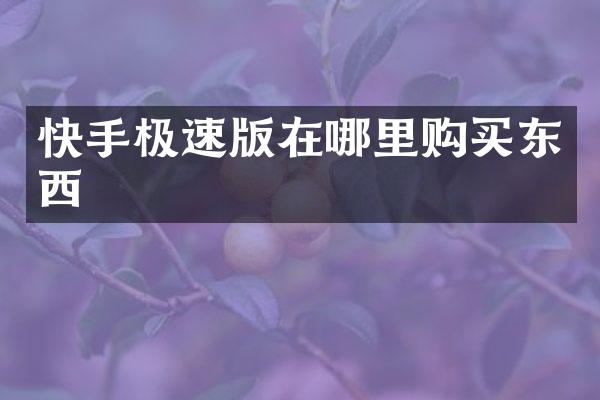 快手极速版在哪里购买东西