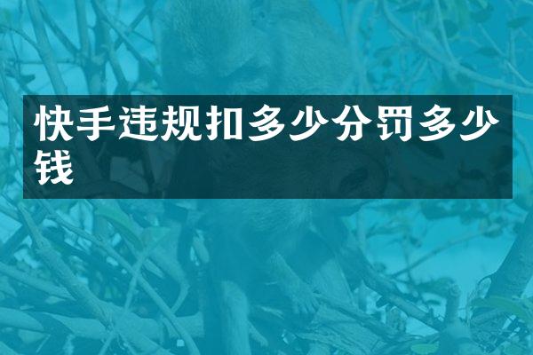 快手违规扣多少分罚多少钱