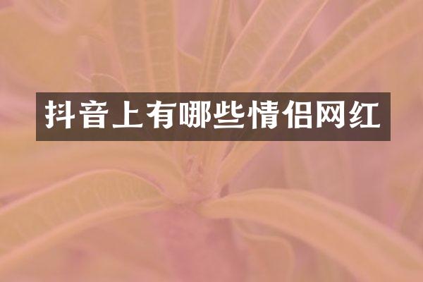 抖音上有哪些情侣网红