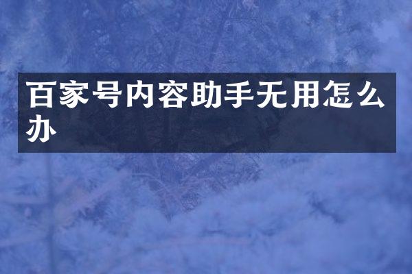 百家号内容助手无用怎么办