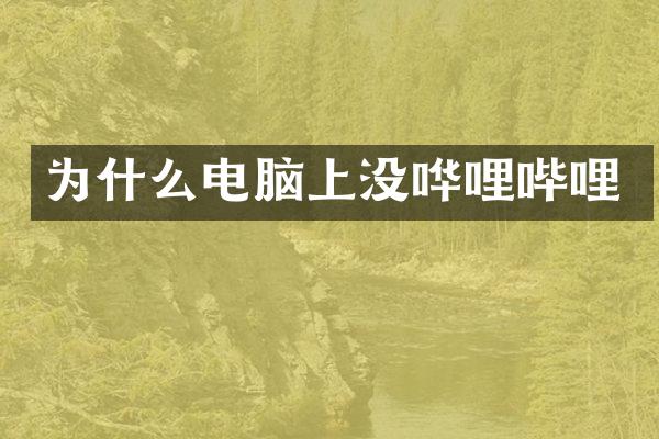 为什么电脑上没哗哩哔哩