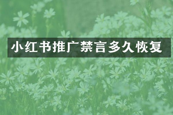 小红书推广禁言多久恢复