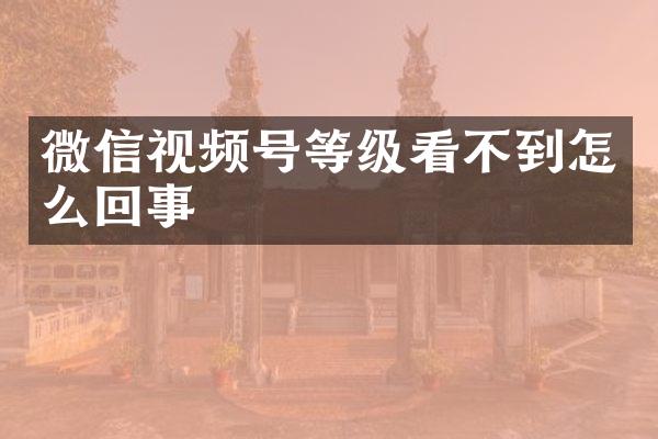 微信视频号等级看不到怎么回事
