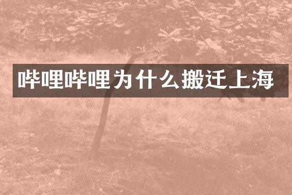 哔哩哔哩为什么搬迁上海