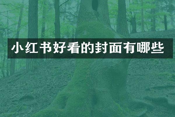 小红书好看的封面有哪些