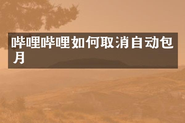 哔哩哔哩如何取消自动包月