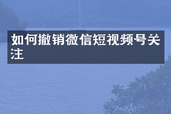 如何撤销微信短视频号关注