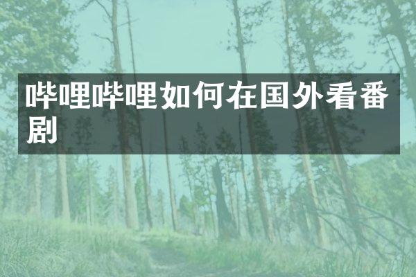 哔哩哔哩如何在国外看番剧