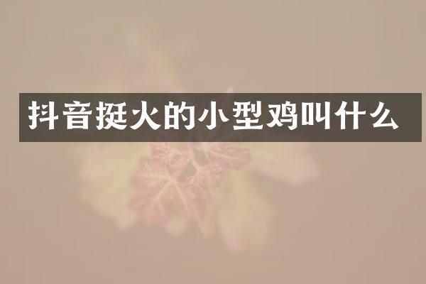 抖音挺火的小型鸡叫什么