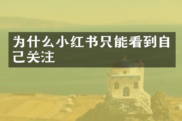 为什么小红书只能看到自己关注