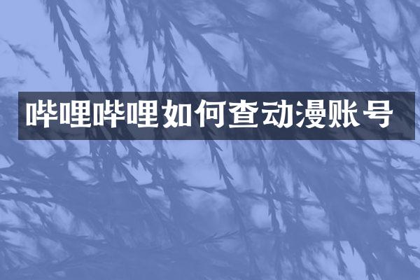 哔哩哔哩如何查动漫账号
