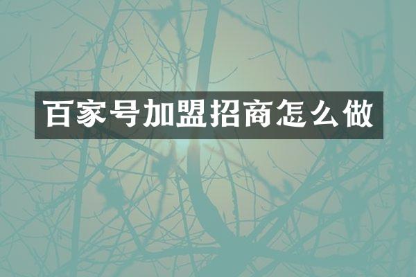 百家号加盟招商怎么做